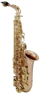 Roy Benson AS-202G Alt Saxophon