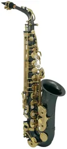 Roy Benson AS-202K Alt Saxophon