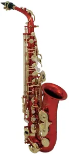 Roy Benson AS-202R Alt Saxophon