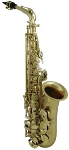 Roy Benson AS-302 Alt Saxophon
