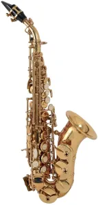 Roy Benson SG-302 Soprano Saxophon