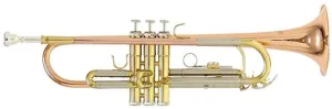 Roy Benson TR-202G Bb Trompete