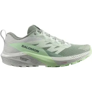 Salomon SENSE RIDE 5 W Damen Trailrunning-Schuhe, grün, größe 38