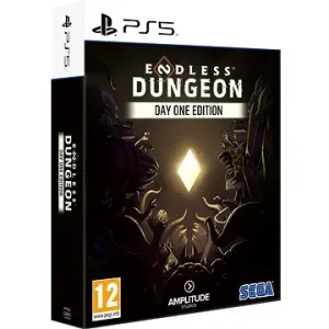 Endless Dungeon: Day One Edition - PS5 #913379