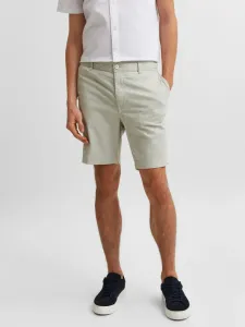 Selected Homme Isac Shorts Grün #671193