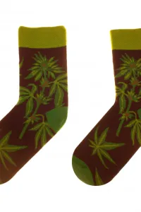 Damen Kniestrümpfe & Socken 80 Funny herbs