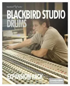 Steven Slate Trigger 2 Blackbird (Expansion) (Digitales Produkt)