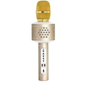 Teddies Karaoke-Mikrofon Bluetooth gold