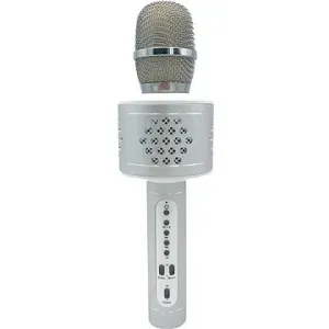 Teddies Karaoke-Mikrofon Bluetooth silber