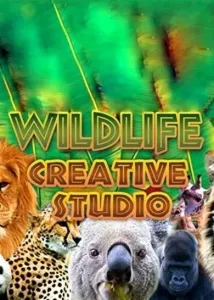 The Wildlife Creative Studio Steam Key EUROPE