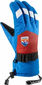 Viking Brother Louis Gloves Multicolour/Orange 10 SkI Handschuhe