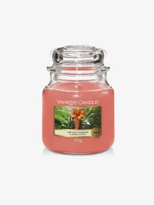 Yankee Candle The Last Paradise (411 g) Home Rosa