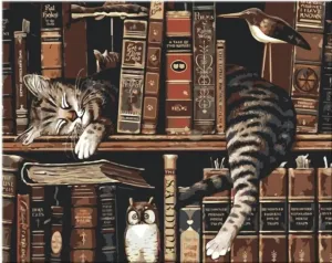 Zuty Malen nach Zahlen Katze in der Bibliothek
