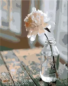 Zuty Malen nach Zahlen Blume in einer Flasche